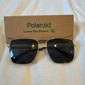 Polaroid Sunglasses – Gold Frame with Black Lenses